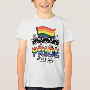 Pride Jacksonville City Florida USA Rainbow Fla Tri-Blend Shirt