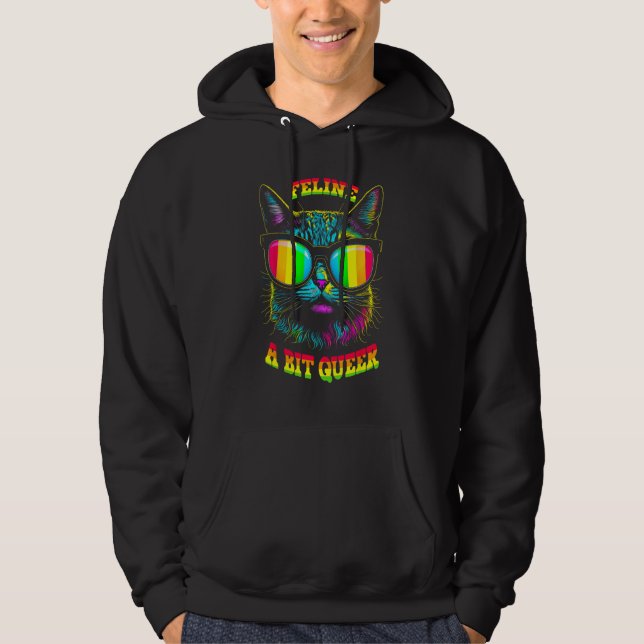 Pride Month Feline Queer Cat Gay LGBTQ Rainbow Fla Hoodie (Vorderseite)