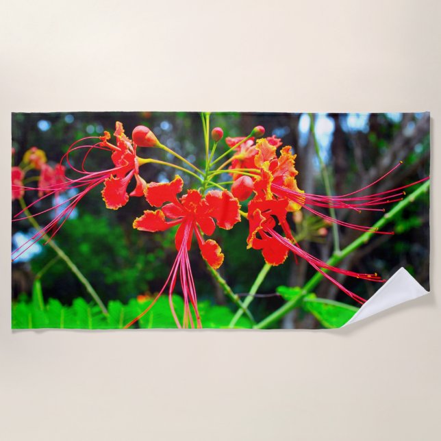 Pride of Barbados   Strandtuch (Vorderseite)