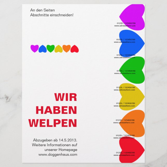 Pride Rainbow Hearts Ripp von Flyer (Vorne)