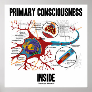Primäres Bewusstsein im Inneren (Neuron/Synapse) Poster