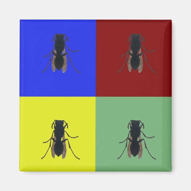 Primärflügel Magnet (Vorne)