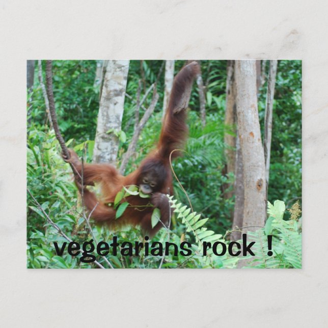 Primat Vegetarians Rock ! Postkarte (Vorderseite)
