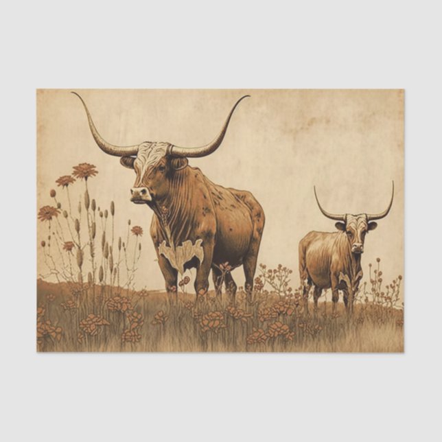 Primitive Texas Longhorns Seidenpapier (Vorderseite)