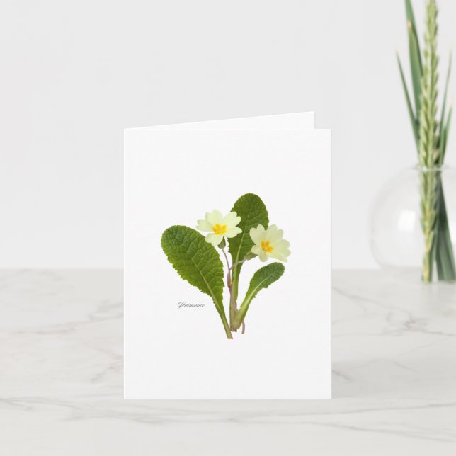 Primrose Karte (Vorderseite)