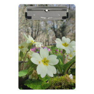 Primrose Mini Clipboard Klemmbrett