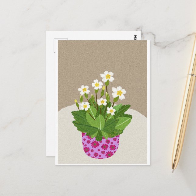 Primrose Postcard Postkarte (Vorderseite/Rückseite Beispiel)