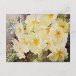 Primrose Posy Postkarte