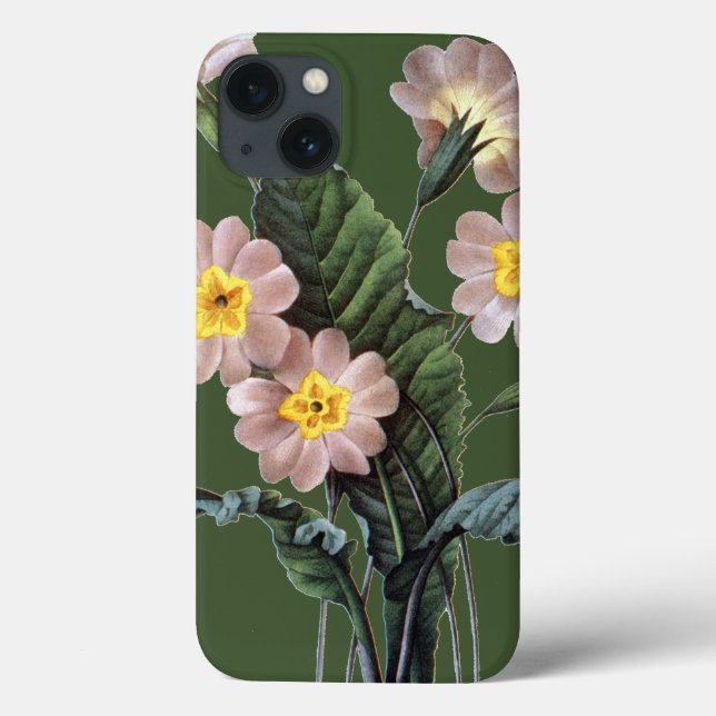 Primrose (Primula Aucalis) Case-Mate iPhone Hülle (Rückseite)