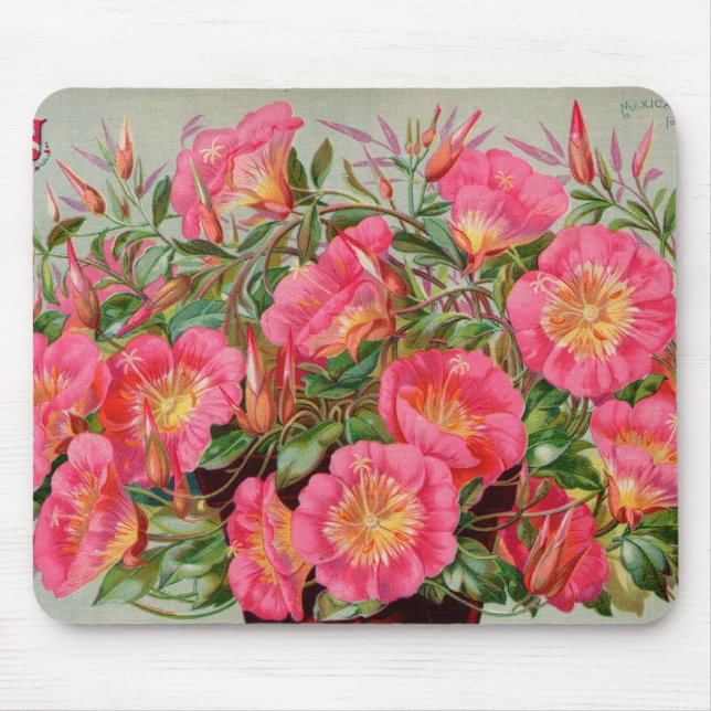 Primrose Seed Packets Mousepad (Vorne)