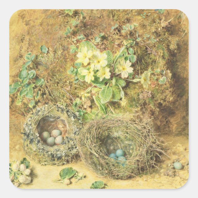 Primrosen und Vogelnester Quadratischer Aufkleber (Vorderseite)