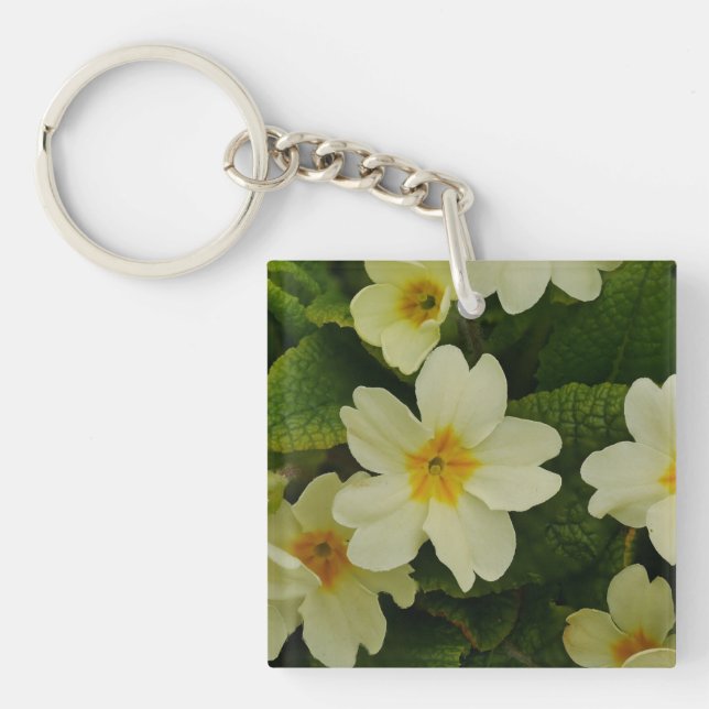 Primroses Schlüsselring (Vorderseite)
