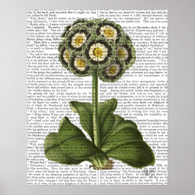 Primula Auricula Blau Poster (Vorne)