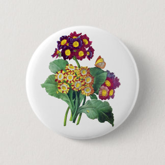 Primula Auricula - Cowslip - Pierre Joseph Redoute Button