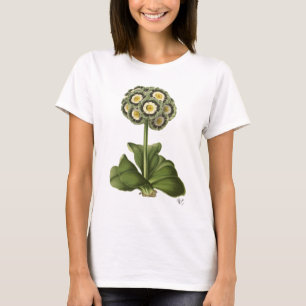 Primula-Aurikel-Blau T-Shirt