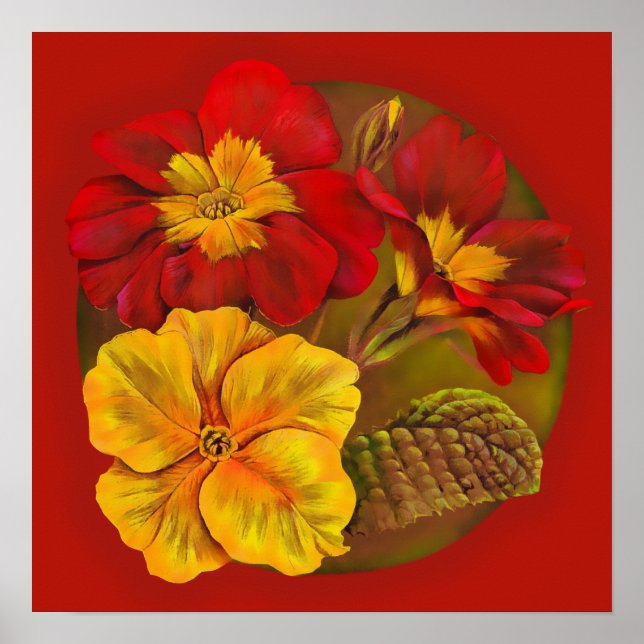 Primula Rot & Gelb Botanisches Poster (Vorne)