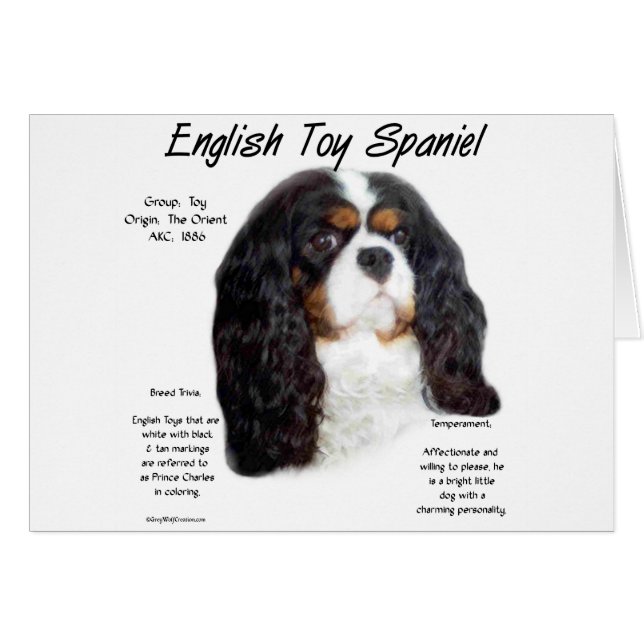 Prince Charles English Toy Spanel History (Vorderseite (Horizontal))