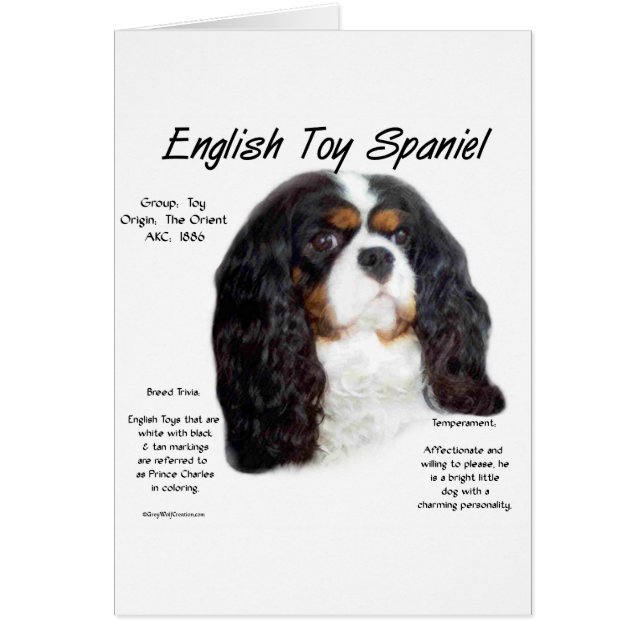 Prince Charles English Toy Spanel History (Vorne)