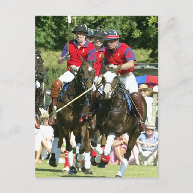 Prince Charles William Harry polo Postkarte (Vorderseite)