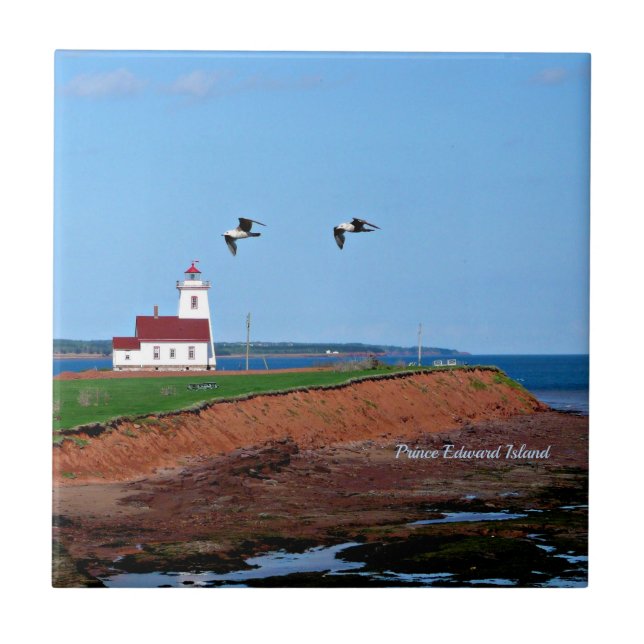 Prince Edward Island Lighthouse Fliese (Vorderseite)