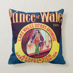Prince of Wales Lake Wales Florida Zitrus Vintage Kissen