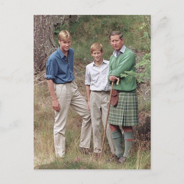 Princes Charles William Harry 1995 Postkarte (Vorderseite)