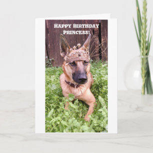 Princess Birthday Card mit belgischer Malinois Karte