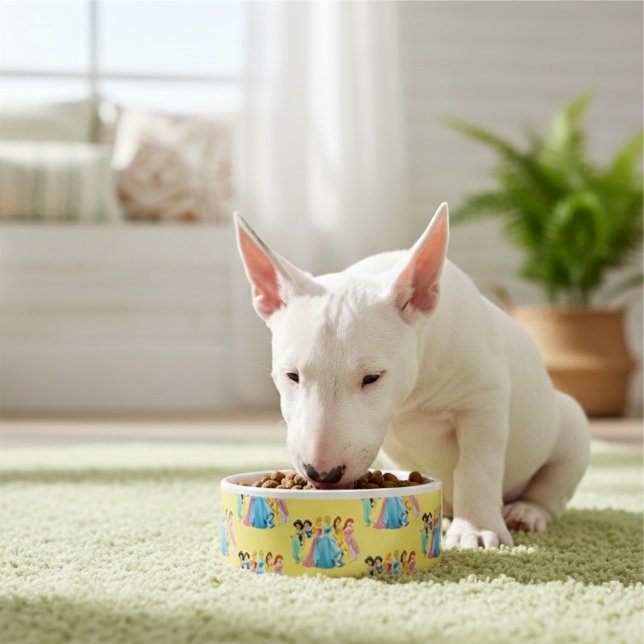 Princess Bowl Napf (Von Creator hochgeladen)