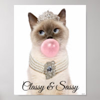 Princess Cat Blowblase Kaugummi
