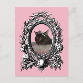 Princess Cat Vintag Frame Rosa Hintergrund Postkarte