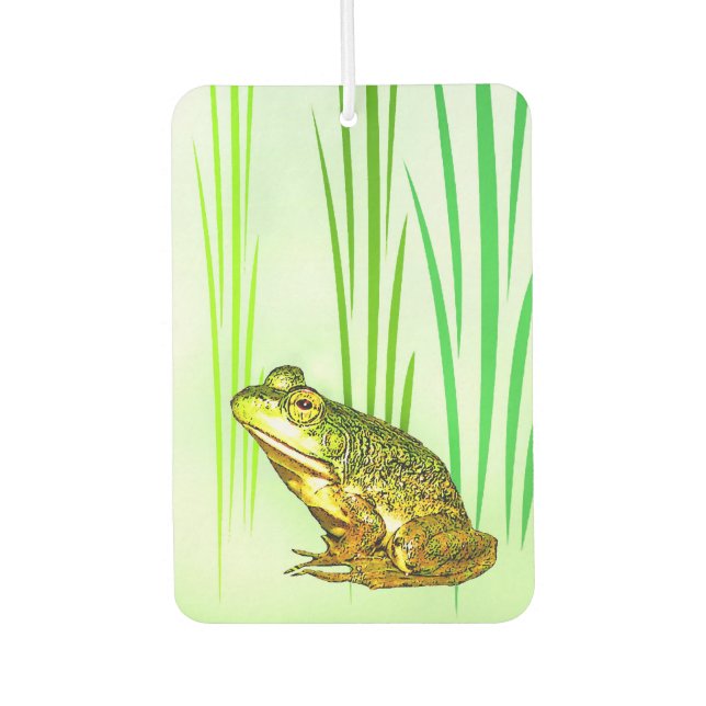 Princess Charming Frog Air Freshener Autolufterfrischer (Vorderseite)