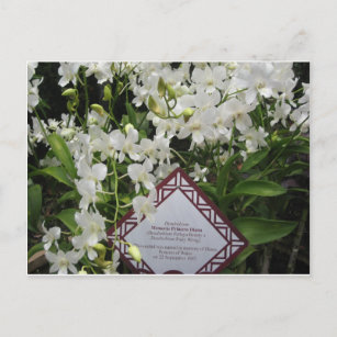 "Princess Diana" Orchid Garden, Singapur Postkarte