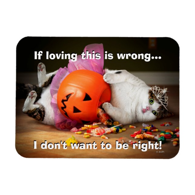 Princess-Katze mit Süßeimer Magnet (Horizontal)