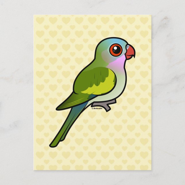Princess Parrot Postkarte (Vorderseite)