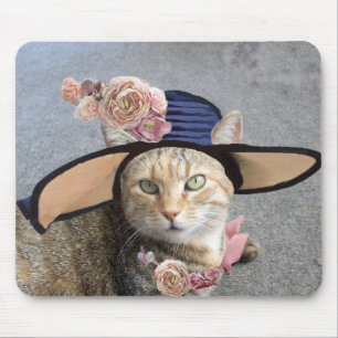 PRINCESS-STATUS/ELEGANTE KATZE,GROSSE DIVA-HAT UND MOUSEPAD