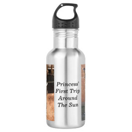 Princess-Wasserflasche Edelstahlflasche