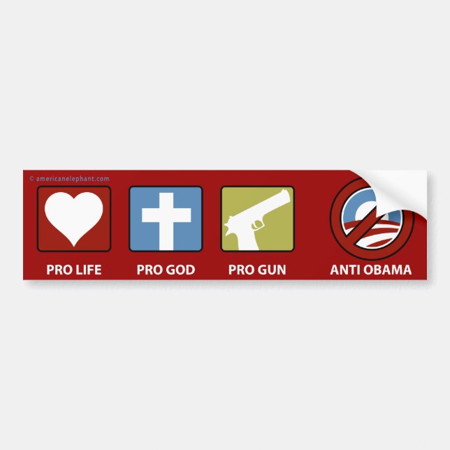 Princples gegen Obama Autoaufkleber (Vorne)