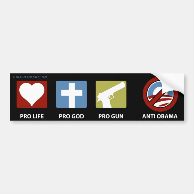 Princples gegen Obama Autoaufkleber (Vorne)