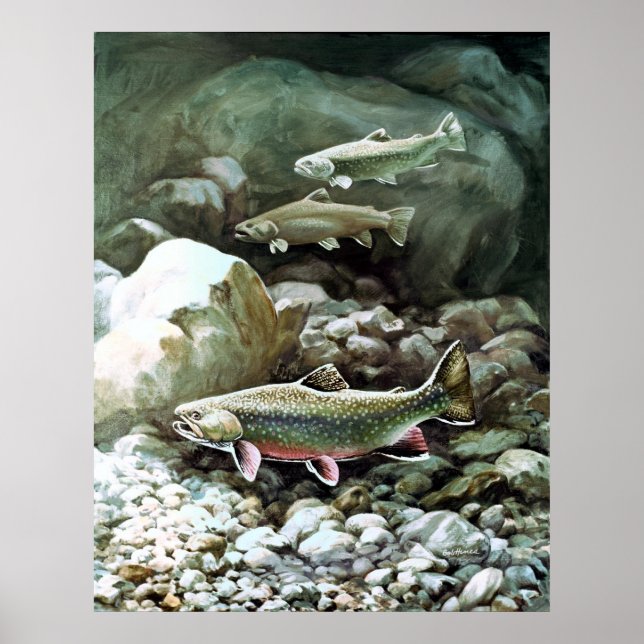 Print Brook Trout Poster (Vorne)