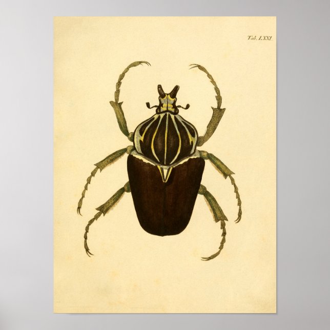Print "Entomologie I" Poster (Vorne)