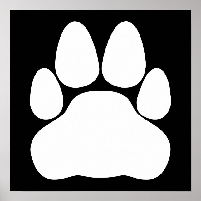 Print-Form der weißen Katze Poster (Vorne)