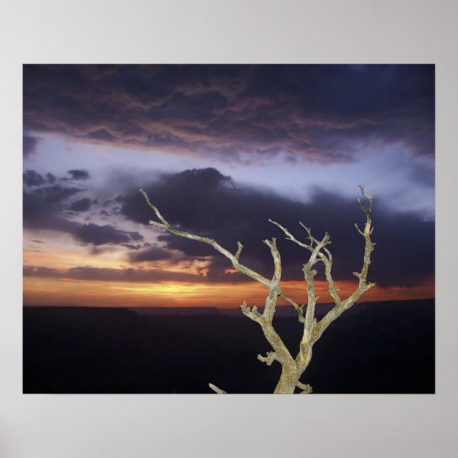 Print - Grand Canyon Sunset Poster (Vorne)