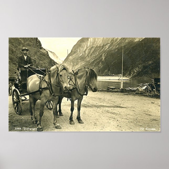 Print - Gudvangen, Norwegen Poster (Vorne)