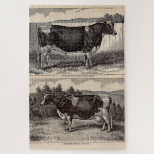 Print Holstein Bull und Holstein Kuh aus dem 19. J Puzzle