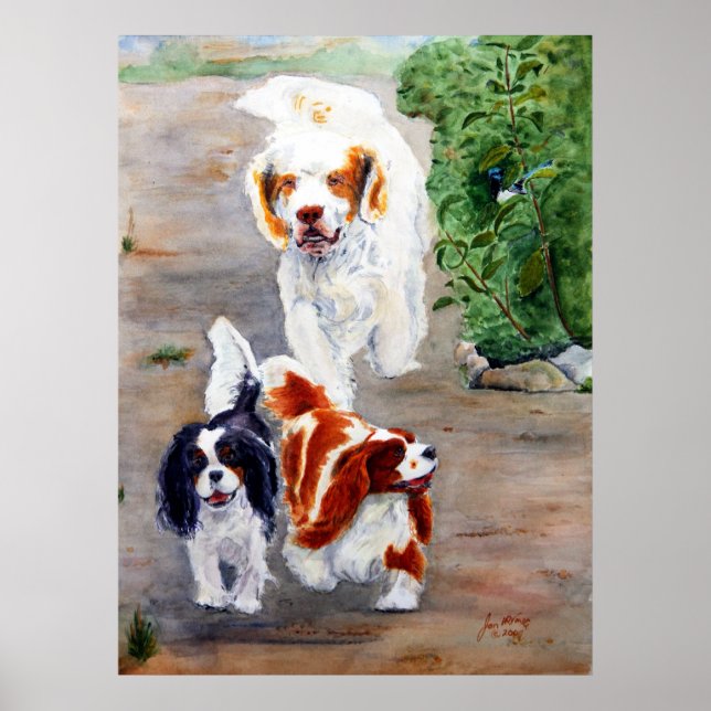 print - Reisende - Clumber Spaniel und Cavaliers Poster (Vorne)