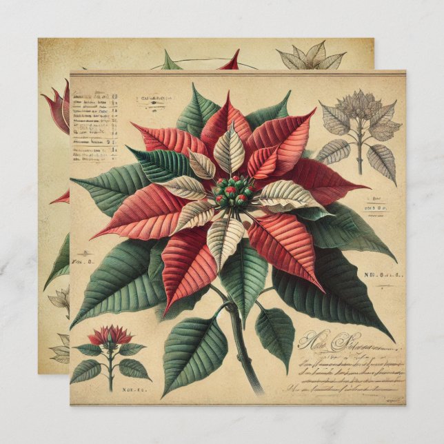 Printable Retro Poinsettia Botanisches Scrapbook Einladung (Vorne/Hinten)