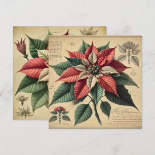 Printable Retro Poinsettia Botanisches Scrapbook Einladung