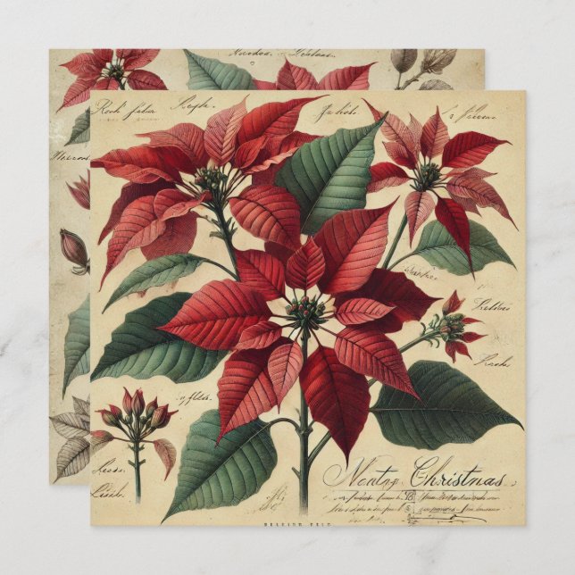 Printable Vintage Christmas Poinsettia Botanisch Einladung (Vorne/Hinten)