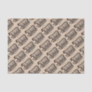 Printjarling Cotswold Schafe aus dem 19. Jahrhunde Seidenpapier