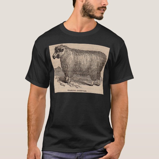 Printjarling Cotswold Schafe aus dem 19. Jahrhunde T-Shirt (Vorderseite)